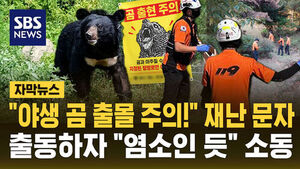 Emergency Alert Sent Over Wild Bear Sighting in Yongin Turns Out to Be False Alarm
