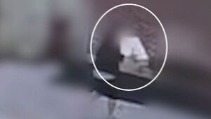 Said It Was 'Delivered'&hellip; Quick Service Courier 'Hit and Run' With Laptop