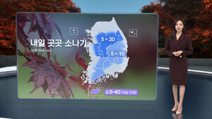 8뉴스 날씨 (임은진 기상캐스터)