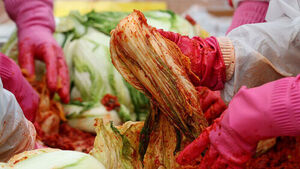 NAQS to Launch Intensive Safety Inspections on Kimchi Ingredients Ahead of Kimchi-Making Season