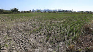 Farmland Complete Survey Consultation Center to Open Tomorrow to Address Farmers' Questions and Concerns