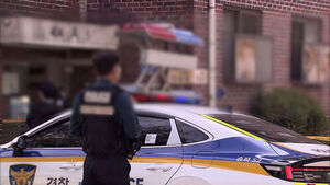Man Kills Mother-in-Law and Abducts Wife 11 Days After Restraining Order Expires