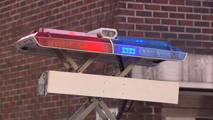 Man Kills Mother-in-Law, Abducts Wife 11 Days After Restraining Order Expires