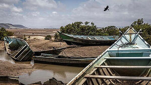 139 Dead After Migrant Ship Capsizes Off Djibouti En Route to War-Torn Yemen