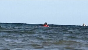 Migrant Vessel Capsizes Off Djibouti: 139 Dead and 80 Missing