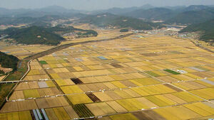 Farmland Comprehensive Survey Consultation Center Opens Today