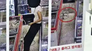 "영업방해 고발" 유유히 떠났다&hellip;공분 부른 CCTV 장면