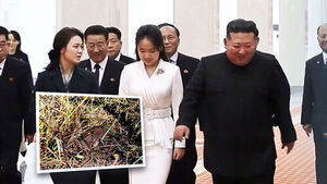 North Korea Silent on Landmine Blast to Domestic Audience: Why Has Its Response Changed?