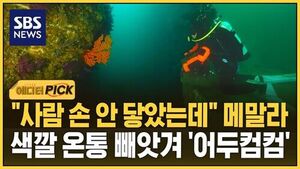 바다 사막화 에픽
