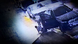 Pushed Into Car and Stabbed&hellip; Multiple Reports Made Despite Fatal Attack