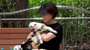 Owning a Dog Associated With 31% Lower Risk of Cardiovascular Death