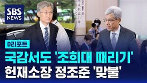 Ruling Party Targets Chief Justice Cho at Constitutional Court Audit, PPP Fires Back at Court President
