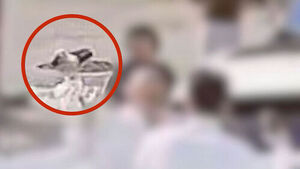 Swinging Belt, Slapping Face... Famous Business Figure Causes Rampage and Assaults at Imported Car Dealership