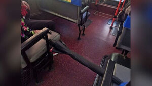 "Shameless" Bus Ride Sparks Outrage: Elderly Passenger Blocks Aisle with Umbrella