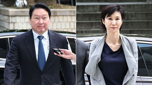 Noh Soh-yeong Gives Up Counter-Appeal on Property Division... Supreme Court to Review Chey Tae-won's 244 Billion Won Payout