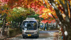 Gangwon's Inje County to Make Bus Fares Free Next Year for All Residents and Tourists