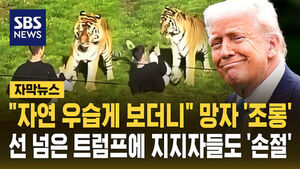트럼프 조롱
