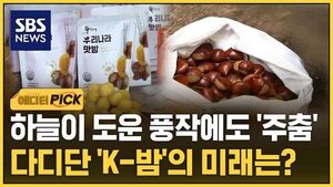 밤 수출 에픽