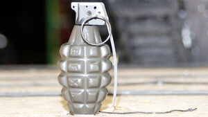 Training Grenade Found at Elementary School in Yangpyeong with Safety Pin Intact