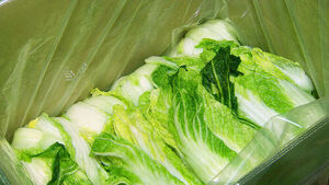 Pre-salted Cabbage Discounted by 20,000 Won per Box&hellip; Reservations Begin at Major Supermarkets