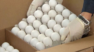 "Buying a Tray of Eggs for 44,000 Won"... High-Cost Imports Criticized at Parliamentary Audit
