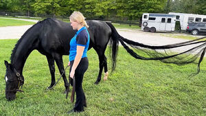 "Over 400cm Long" Flowing Tail Sets a World Record