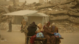Donkeys Cost 40 Million Won Each... Livestock Prices Surge in War-Torn Gaza