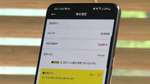 25.5 Billion Won Left Unclaimed: Authorities to Notify Users of Forgotten Prepaid Balances