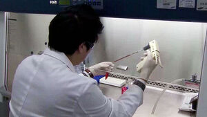 Harvard-led Team Discovers 'Youth Gene' That Cuts Aging Process by 44%