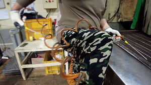 3 Years in Prison for Factory Owner in 'Air Gun Assault': 'He Enjoyed Tormenting Workers'