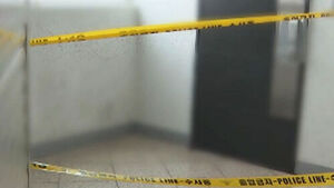 Another Preventable Tragedy: Wife Murdered Despite Restraining Order