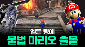 엘든 링에 불법 마리오 출몰