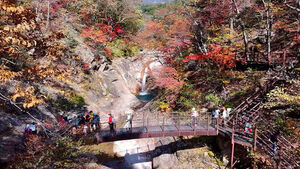 Seoraksan Turns Vibrant, Odaesan Peak Fall Foliage in Full Swing