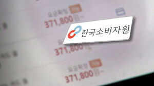 항공사 탓인데 "배상 제멋대로"&hellip;엉터리 약관들