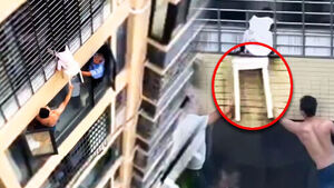 Dangling from 12th-Floor Window: Thrilling Moment a 3-Year-Old Girl Is Saved in China