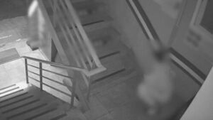 식당 앞 바지 벗고 '대변 테러'&hellip;CCTV 찍힌 충격 기행