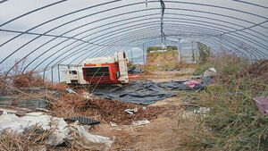 Farmer in 70s Dies After Being Caught in Farming Machine Inside Vinyl Greenhouse in Jinan