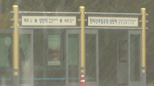 태풍 참피 제주도 폭우