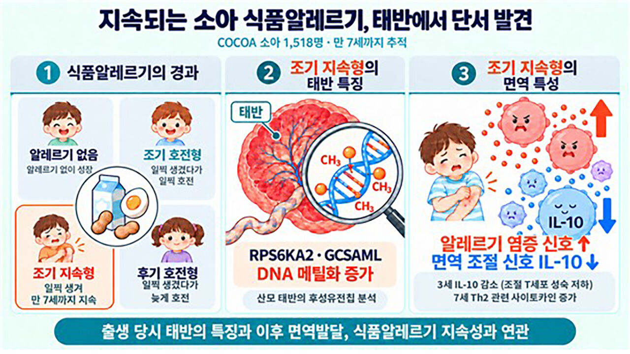 Pediatric food allergies (Photo provided by the Korea Disease Control and Prevention Agency, Yonhap News)