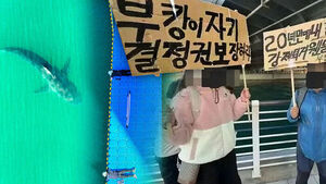 Government Petitions Filed Over "Bukangi" the Shark: What is Happening?