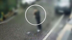 Daejeon Dating Violence Murder: Prior Reports of Stalking