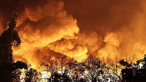 Guryong Village Fire Destroys Area Equivalent to 26 Soccer Fields