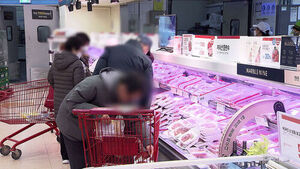 "신선식품 최대 60%"&hellip;다음 달 11일까지 진행
