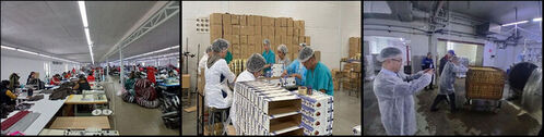 North Korean workers in Russia (Photo: Captured from GRC report, Yonhap News)