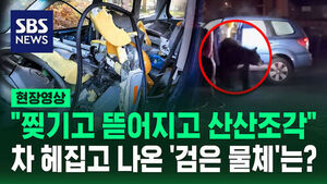 On-Site Video: "Torn, Ripped, and Shattered"... What is the 'Black Object' That Rummaged Through the Car?