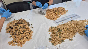 Green Clump Found in Cereal: Identity of Mail Sent from the U.S.