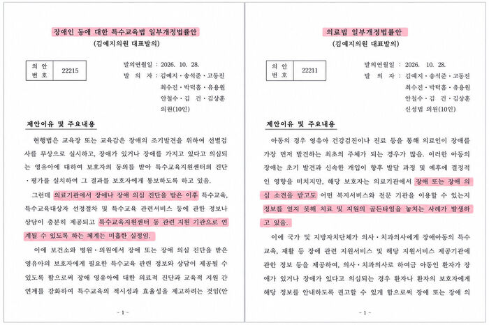 김예지 법안