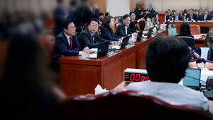 Shouting, Verbal Abuse, and Race for 'Shorts': Policy Scrutiny Sidelined