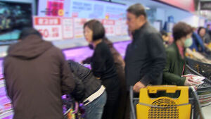 Half-Price Hanwoo Triggers Open-Run, But Consumer Sentiment Remains Frozen