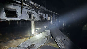 Fire at Buyeo Poultry Farm Kills 27,000 Chickens